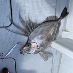 中深海スロージギング