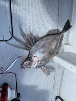 中深海スロージギング