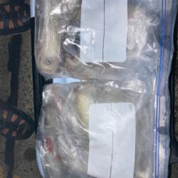 ラストイカメタル