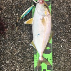 ショアジギングの旅1