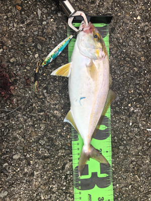 ショアジギングの旅1