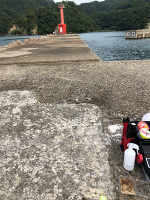 久々の釣り！キス狙い