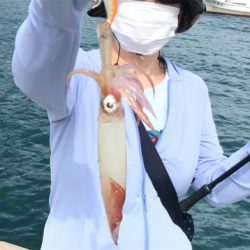 今年初アオリイカ釣行！