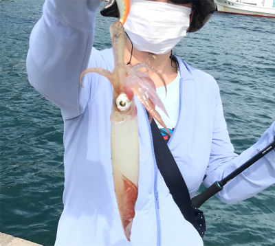 今年初アオリイカ釣行！