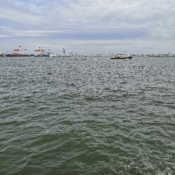 ラストスパートタコ2