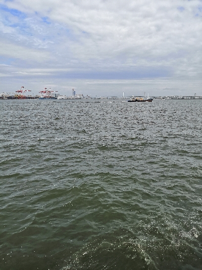 ラストスパートタコ2