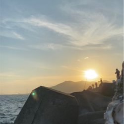 須磨一文字 奇跡の1匹