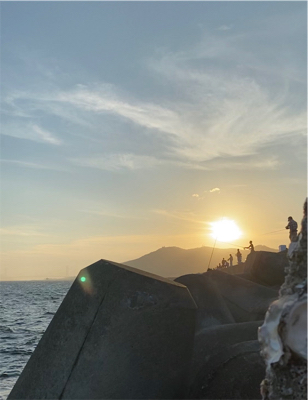 須磨一文字 奇跡の1匹