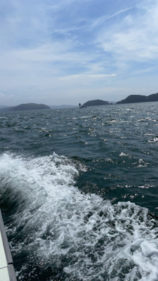 風　ウネリのなかのタイラバ