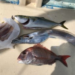 あちこちジギング