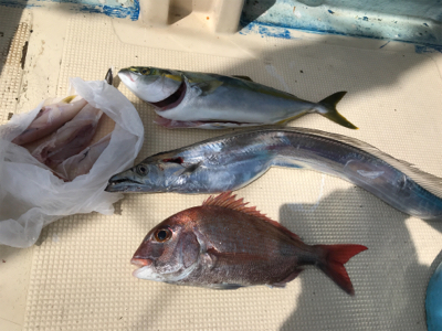 あちこちジギング