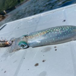 2馬力ボートで釣査
