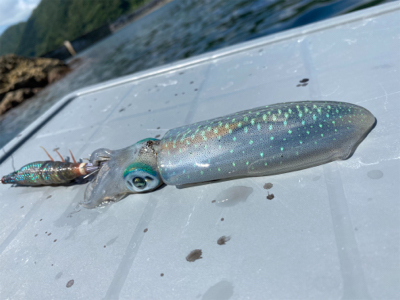 2馬力ボートで釣査