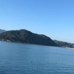 今年初タチウオ