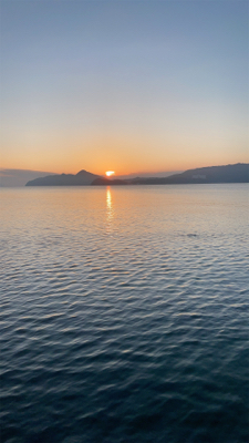 今年初エギング