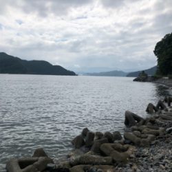 親父達の釣行 久しぶり編