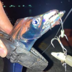 2021ライトゲーム第？戦