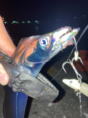 2021ライトゲーム第？戦