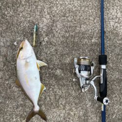 ライトショアキャスティング