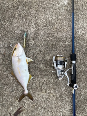 ライトショアキャスティング