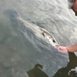 ど日中でもk2無限は強かった❗️