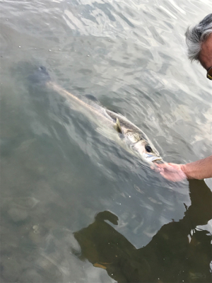 ど日中でもk2無限は強かった❗️