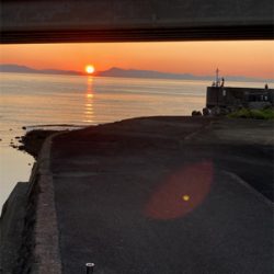 泉南秋イカスタート！！かもね