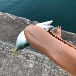 昨日のボイルがあまったので