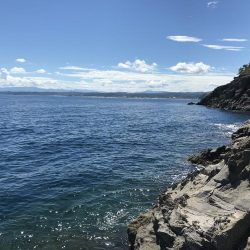 ショアジギング