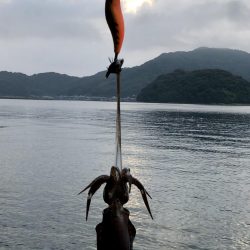 コロッケあがりました。