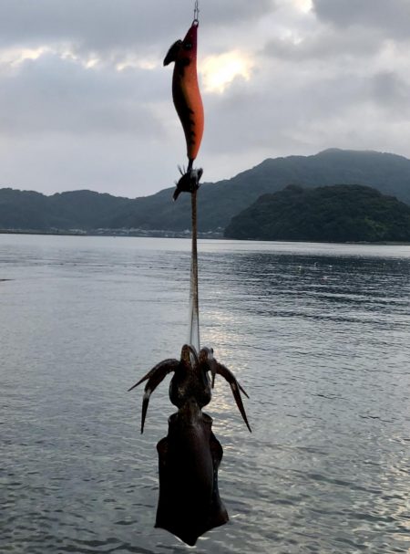 コロッケあがりました。