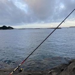 浮サビキしてみました