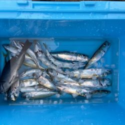 ファミリーフィッシング