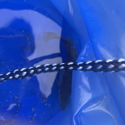 アオリ狙いが。。