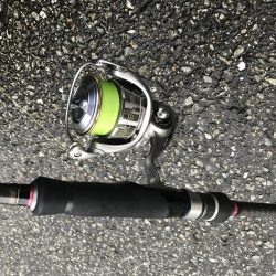 朝マズメ太刀魚調査