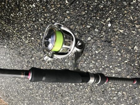 朝マズメ太刀魚調査