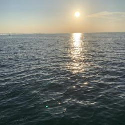 サバオンリー(-｡-;