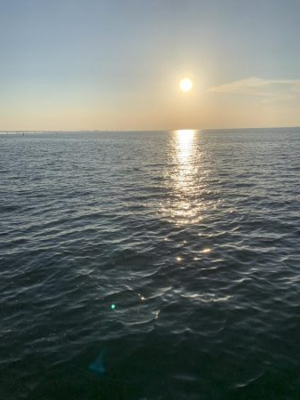 サバオンリー(-｡-;