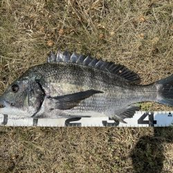 イチノ兄弟、釣果！