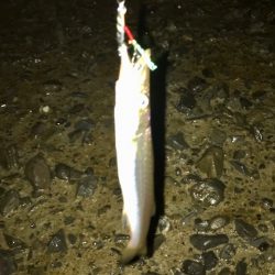 雨がやんだタイミングで