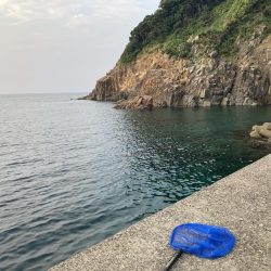 蚊がえげつない