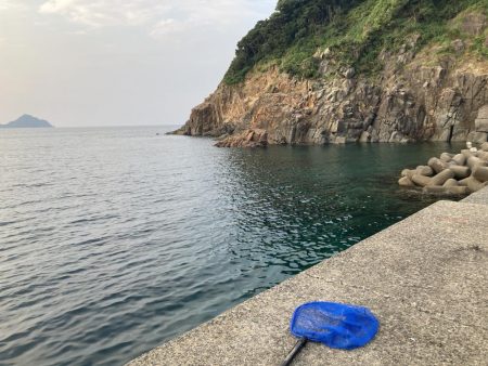 蚊がえげつない