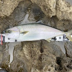 渋い中なんとか