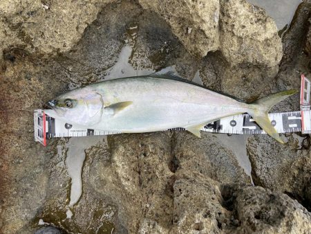 渋い中なんとか