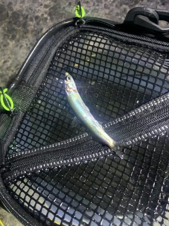 YES!ジギング NO!ぶっこみ