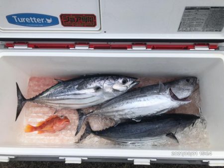 完全フカセどてら流しでカツオ