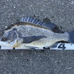 イチノ兄弟、釣果！