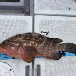 大雨のあと　その2