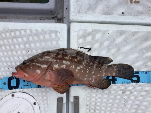 大雨のあと　その2