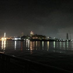 高活性タチウオ・サバ